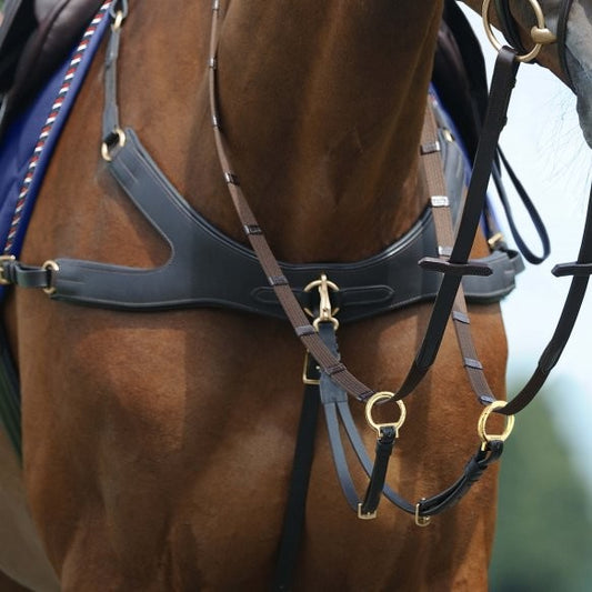 Passier Auriga Breastplate