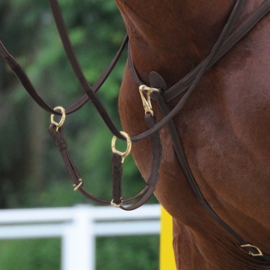 Passier Phoenix Breastplate