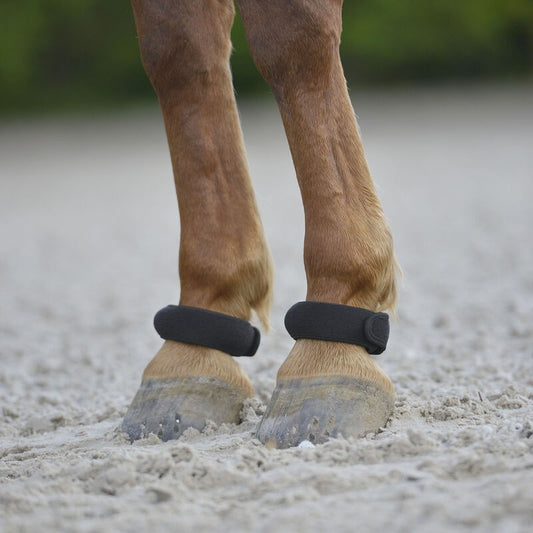 Waldhausen Fetlock Rings