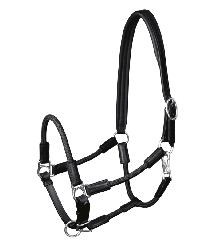 Waldhausen Nevada Halter - Sagebrush Tack