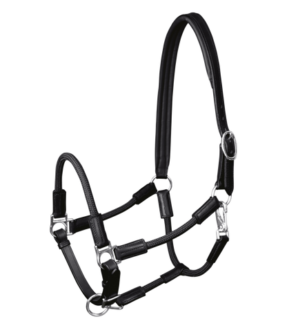 Waldhausen Nevada Halter - Sagebrush Tack