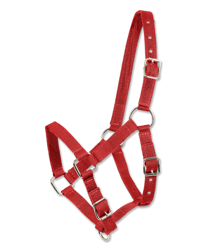 Waldhausen Perlon Foal Halter - Sagebrush Tack
