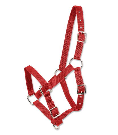 Waldhausen Perlon Foal Halter - Sagebrush Tack