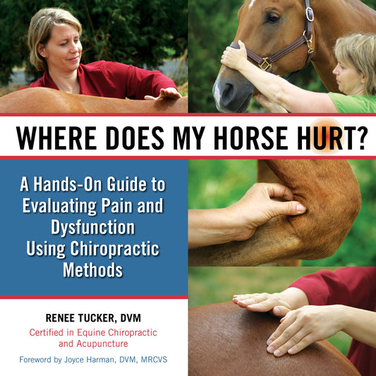 Where Does My Horse Hurt? - Sagebrush Tack