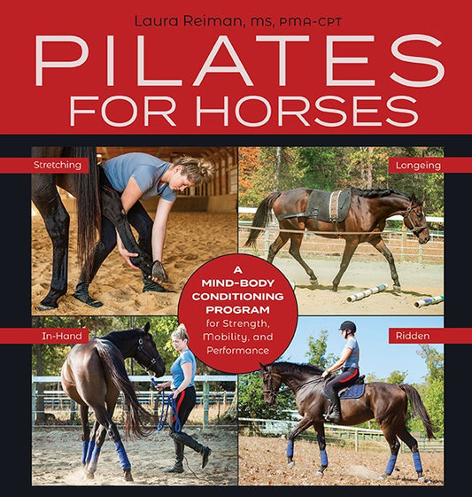 Pilates for Horses - Sagebrush Tack