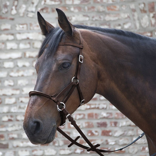 Linda Tellington-Jones "Lindell" Bitless Bridle - Sagebrush Tack