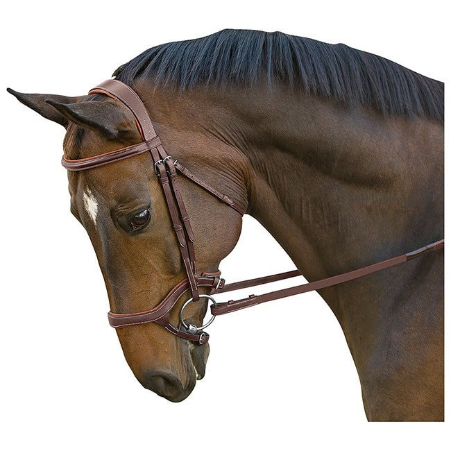 M. Toulouse HYBRID Jumper Bridle - Sagebrush Tack
