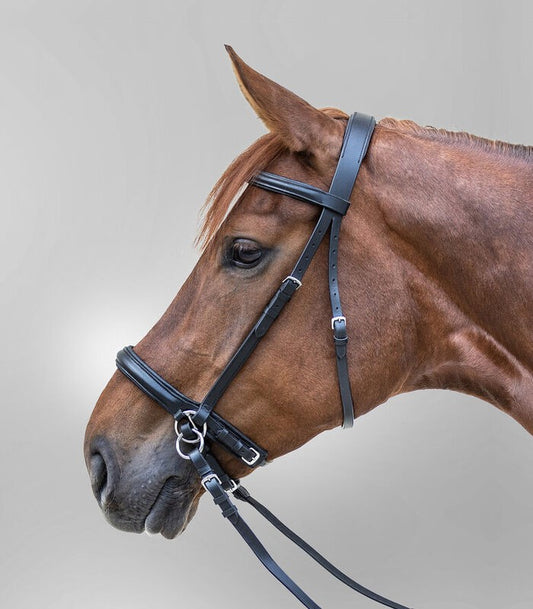 Star Bitless Bridle - Sagebrush Tack
