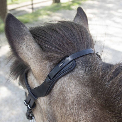 Waldhausen Anatomic Icelandic Bridle - Sagebrush Tack