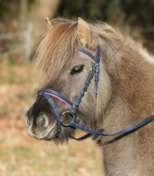 Lucky Unicorn Bridle - Sagebrush Tack