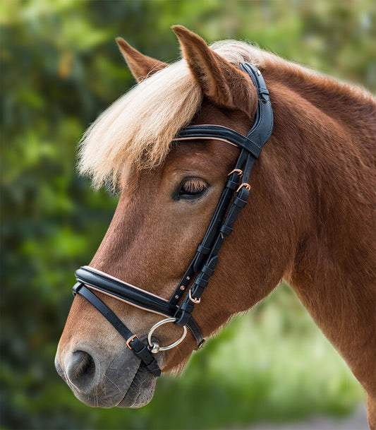 Rose Icelandic Bridle - Sagebrush Tack