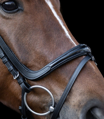 X-Line Freedom Bridle - Sagebrush Tack