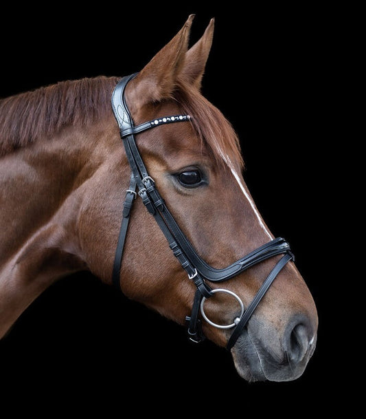 X-Line Freedom Bridle - Sagebrush Tack