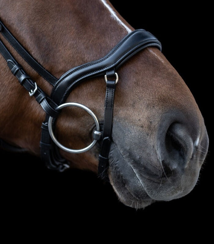 X-Line New Shape II Bridle - Sagebrush Tack