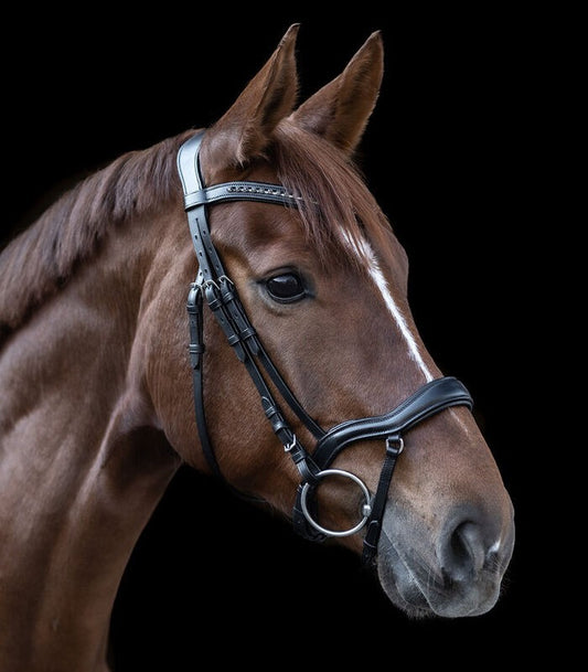 X-Line New Shape II Bridle - Sagebrush Tack