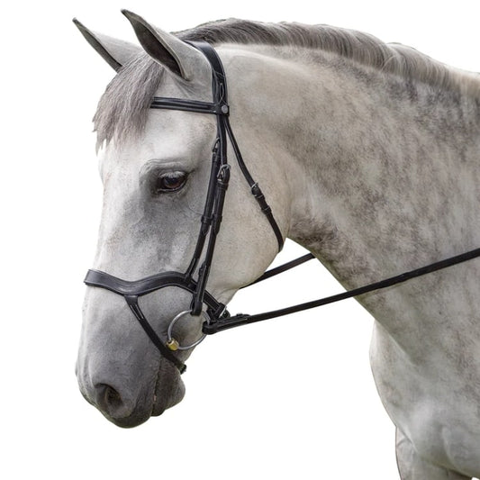 M. Toulouse Hybrid Dressage Bridle