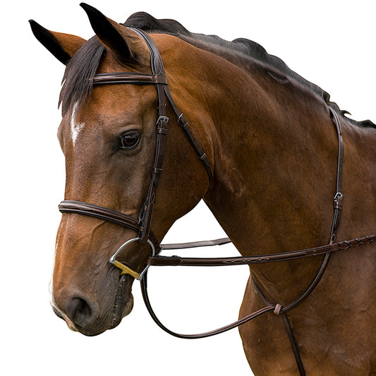 M. Toulouse NOVICE Hunter Bridle